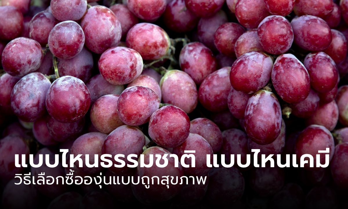 คราบบนผิวองุ่น แบบไหนอันตราย แบบไหนปลอดภัย เลือกอย่างไรให้ชัวร์