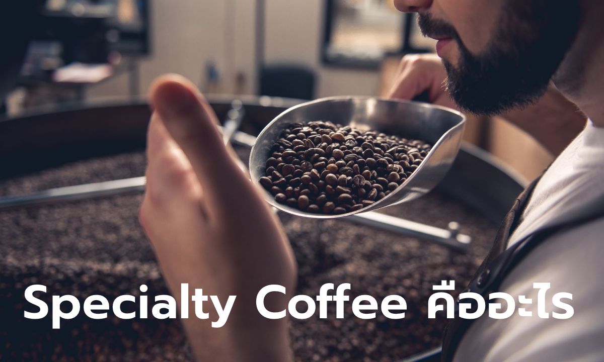"Specialty Coffee" หรือกาแฟพิเศษคืออะไร แตกต่างจากกาแฟทั่วไปอย่างไร