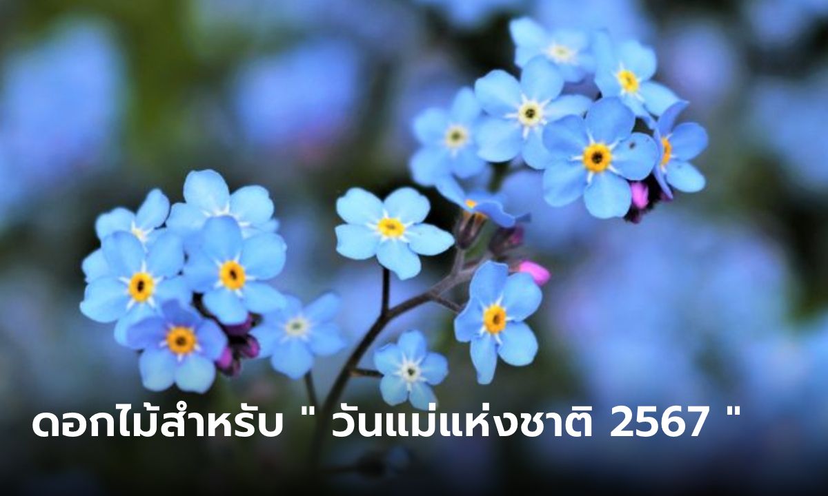 "วันแม่แห่งชาติ 2567"  กับ 20 ดอกไม้พร้อมความหมายเพื่อมอบให้แม่