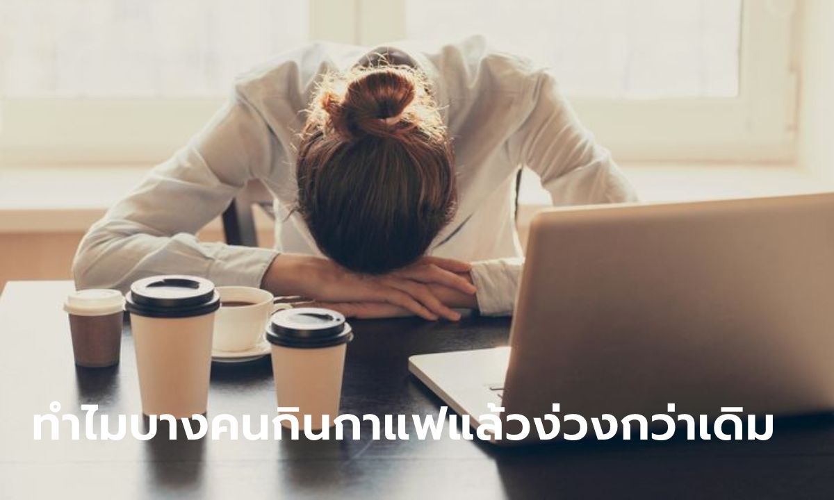 ทำไม "กาแฟ" จึงทำให้บางคนดื่มแล้วรู้สึกง่วง เหนื่อย เพลียกว่าเดิม