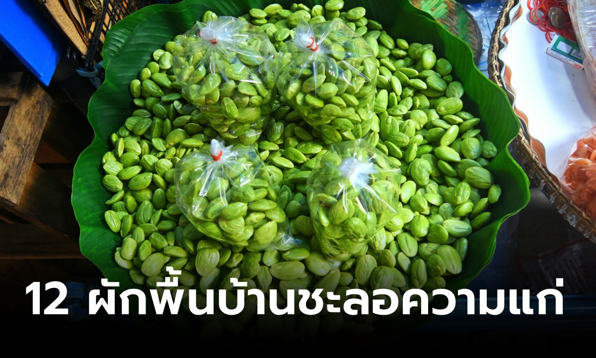 12 ผักพื้นบ้าน ต้านอนุมูลอิสระ ผักชะลอความแก่