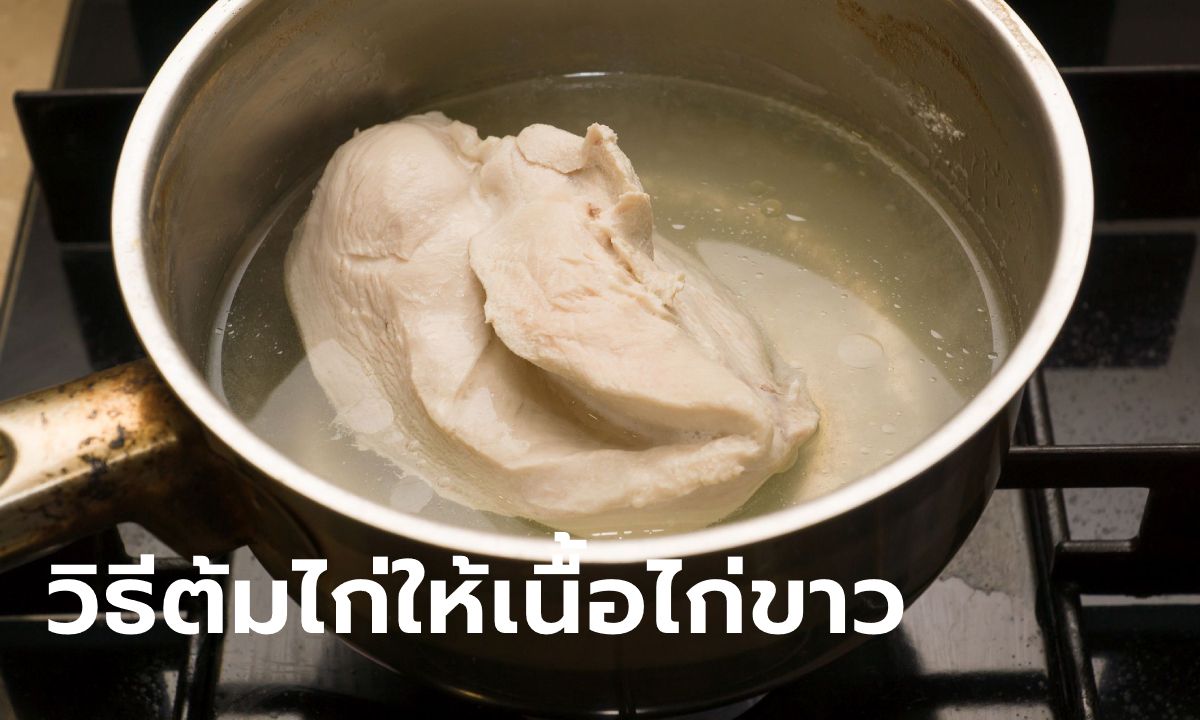 วิธีต้มไก่ให้เนื้อไก่ขาว นุ่มฉ่ำ อร่อย น่ากิน