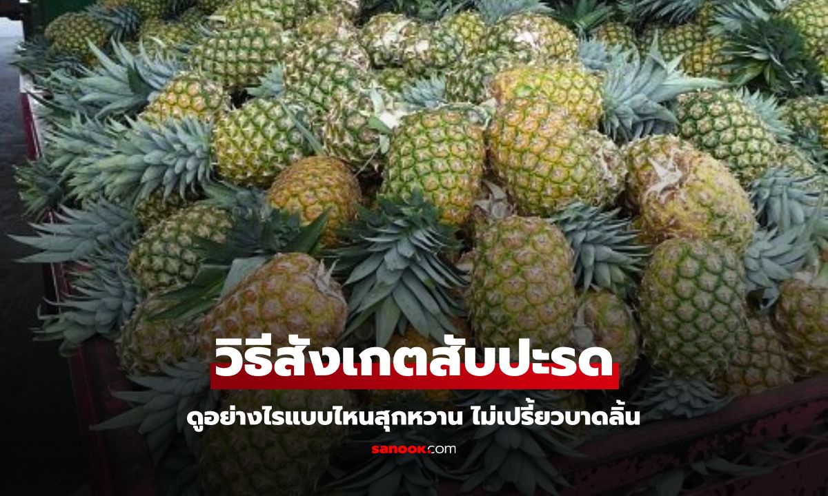 วิธีสังเกตสับปะรดลูกไหนสุกหวานฉ่ำ ลูกไหนเปรี้ยวบาดลิ้น