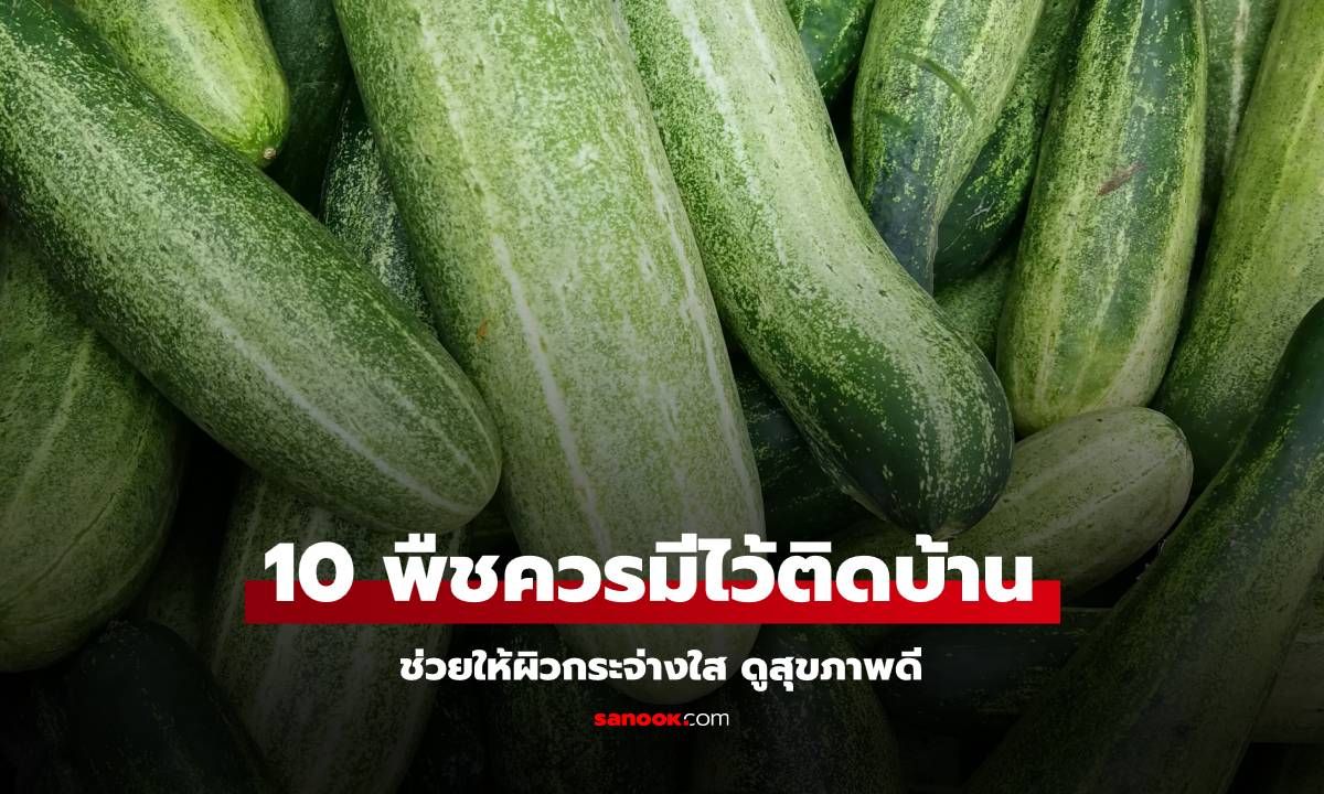 10 พืชควรมีไว้ติดบ้านช่วยให้ผิวกระจ่างใส ดูสุขภาพดี