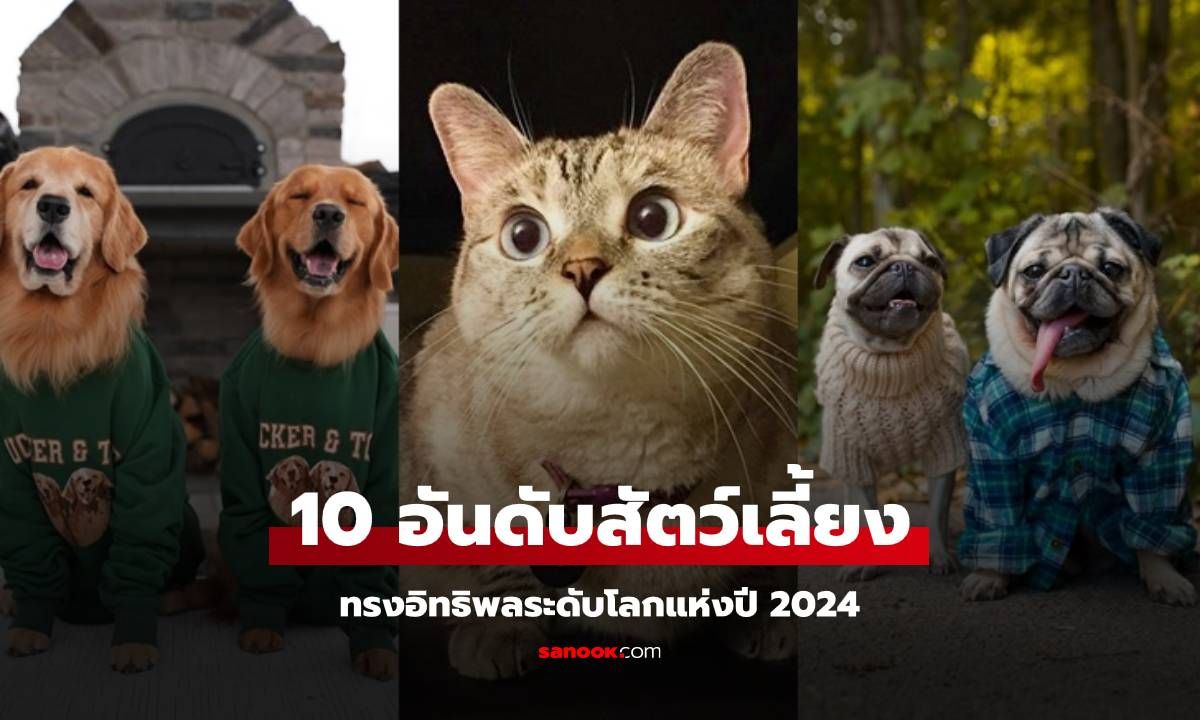 Top 10 สัตว์เลี้ยงทรงอิทธิพลระดับโลกแห่งปี 2024 มีแมวของคนไทยติดอันดับด้วย