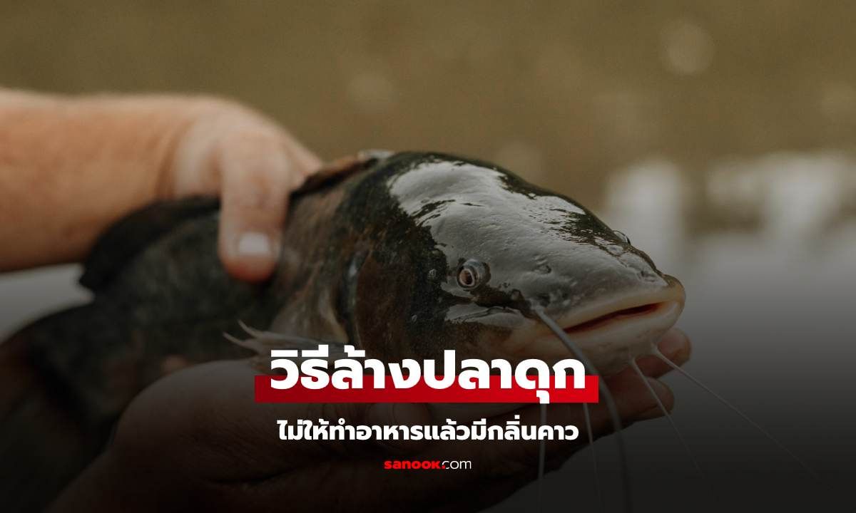 วิธีล้างเมือกปลาดุก ไม่ให้ทำอาหารแล้วมีกลิ่นคาว