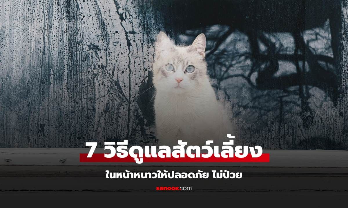 7 วิธีดูแลสัตว์เลี้ยงในหน้าหนาวให้ปลอดภัย ไม่ป่วย