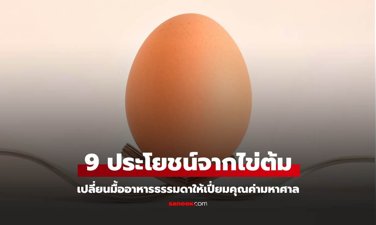 9 ประโยชน์จากไข่ต้ม เปลี่ยนมื้ออาหารธรรมดาให้เปี่ยมคุณค่ามหาศาล