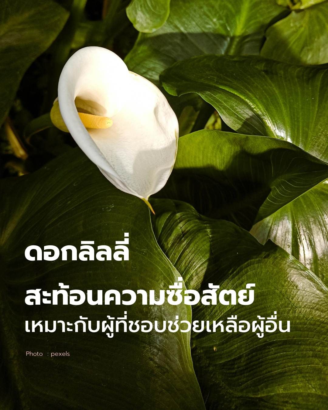 วันวาเลนไทน์