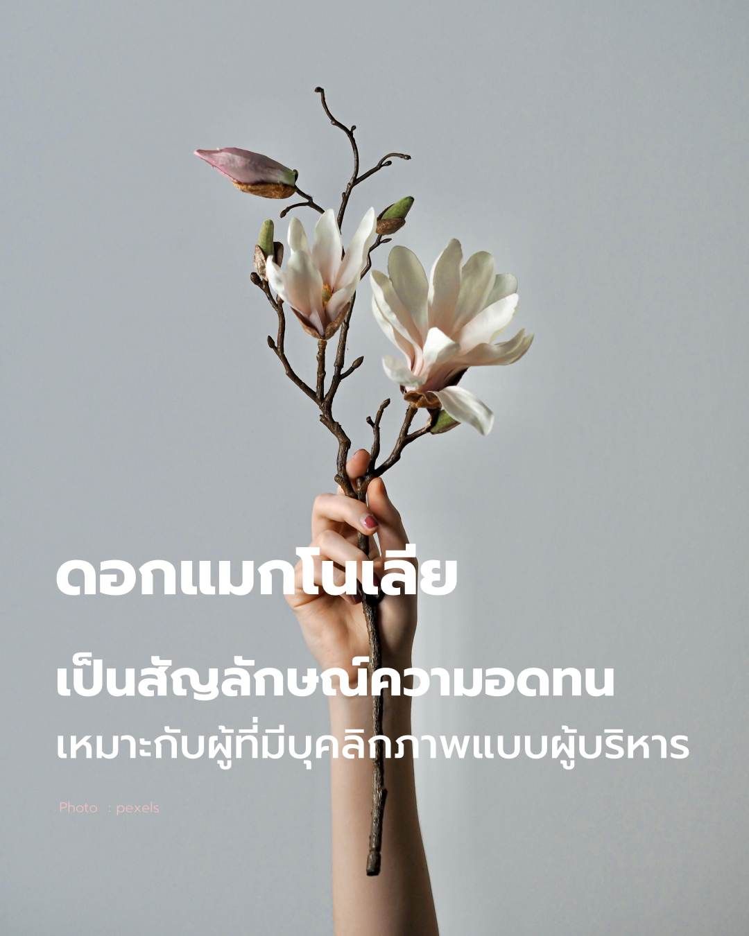 วันวาเลนไทน์