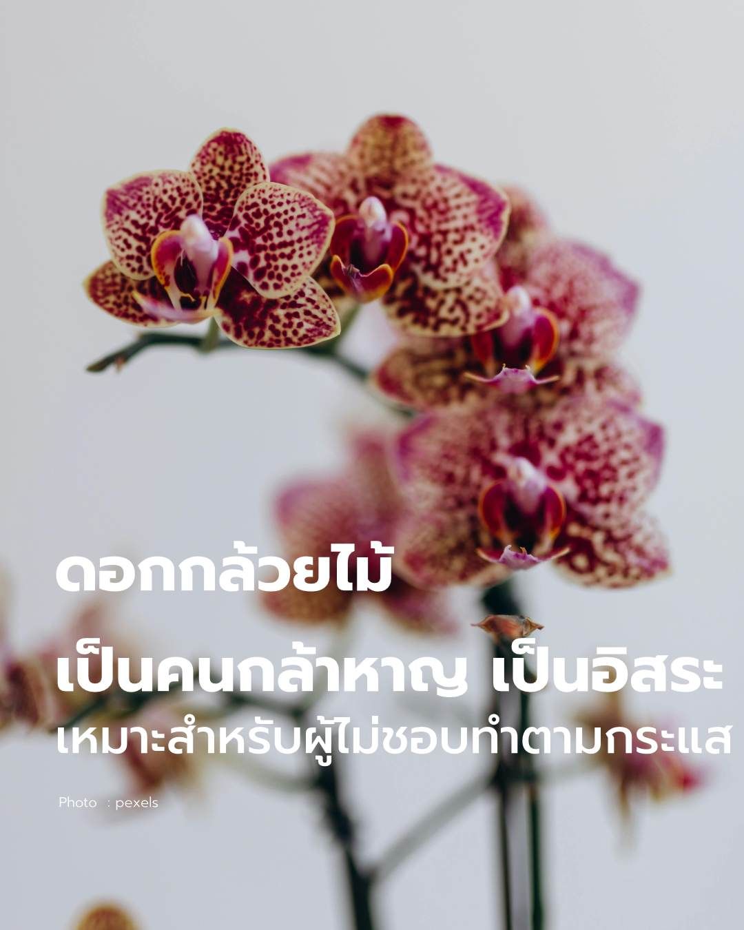 วันวาเลนไทน์