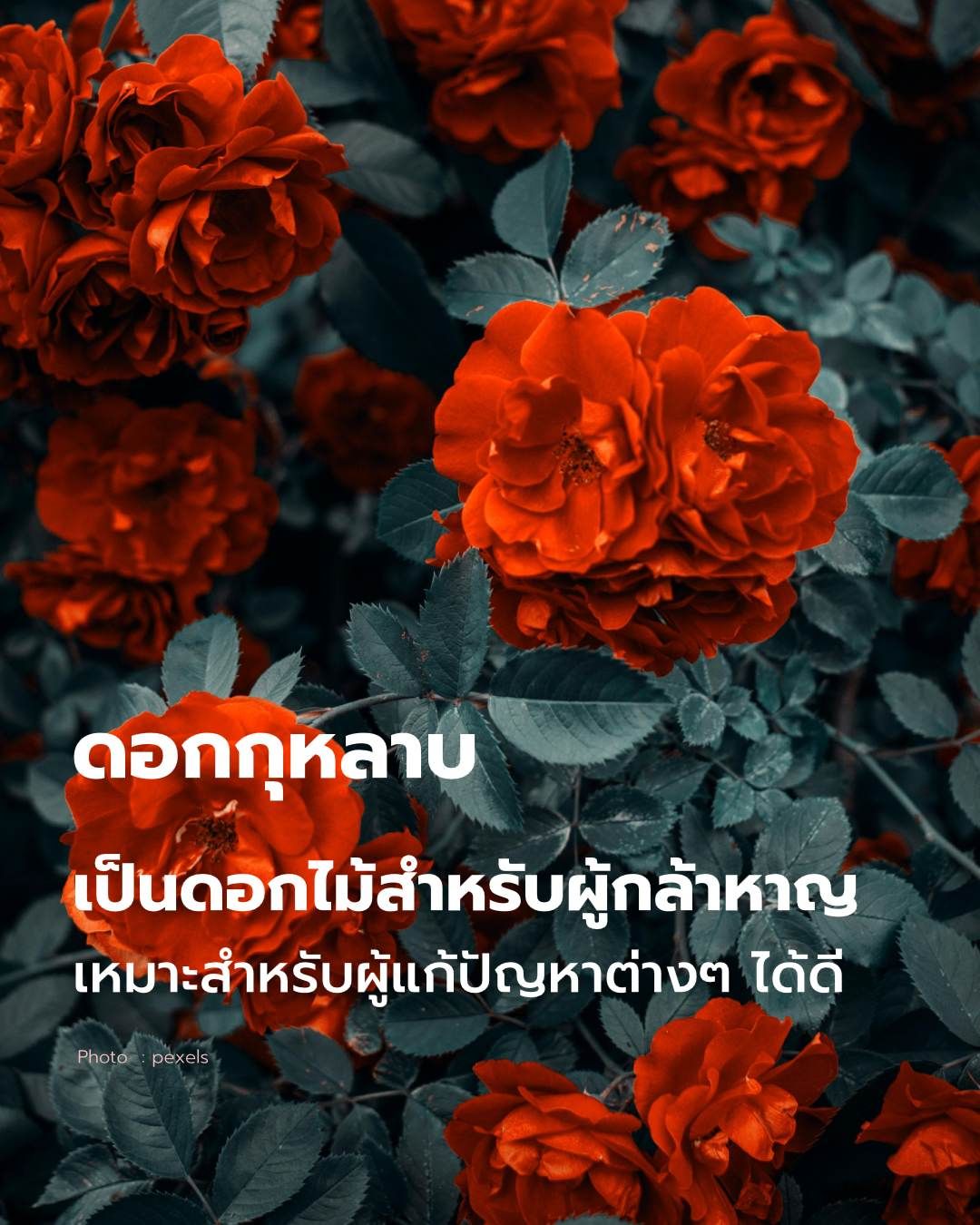 วันวาเลนไทน์