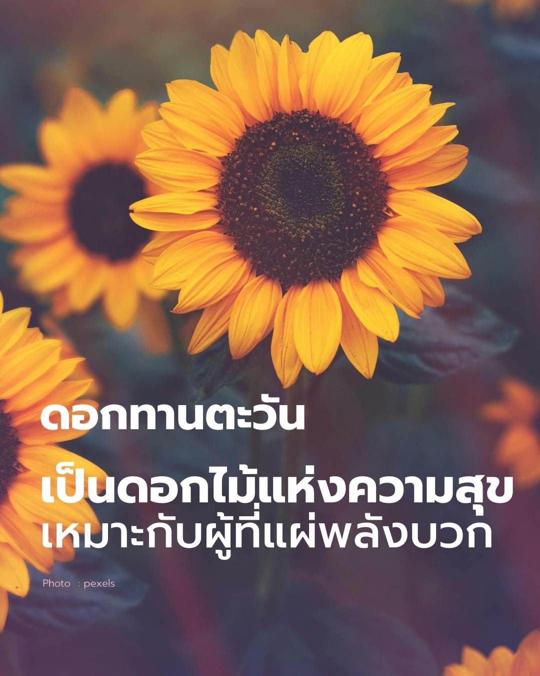 วันวาเลนไทน์