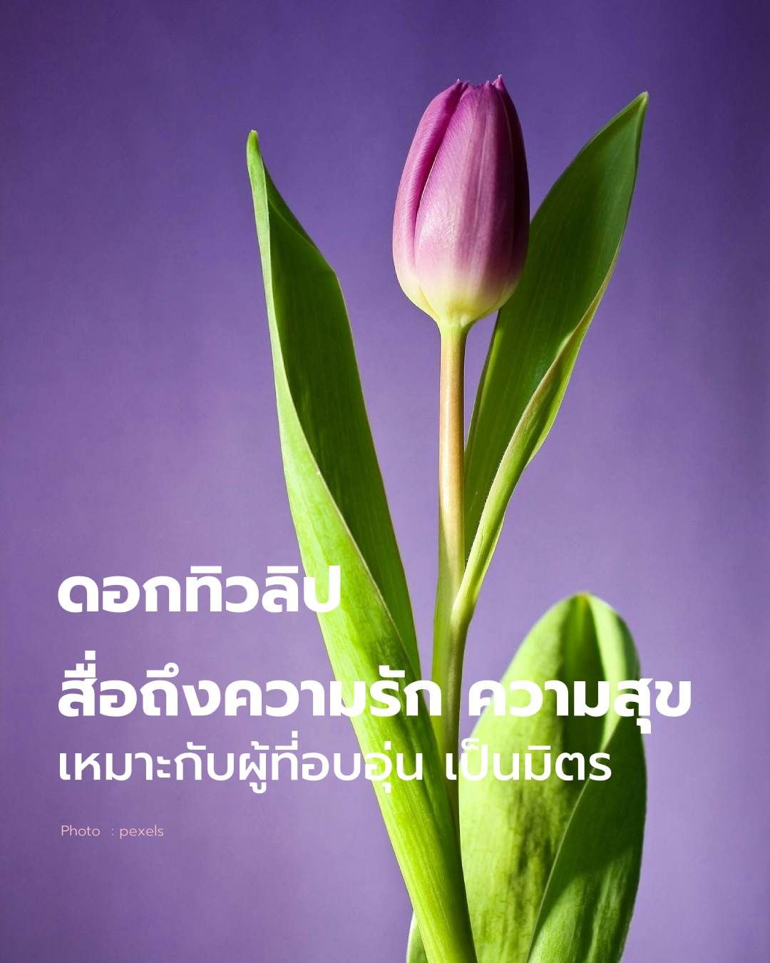 วันวาเลนไทน์