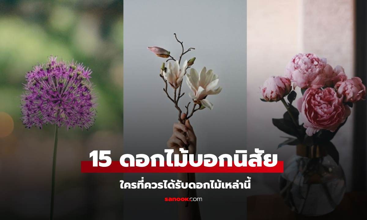 วันวาเลนไทน์ 15 ดอกไม้สะท้อนบุคลิกแบบไหน ใครที่ควรได้รับดอกไม้เหล่านี้