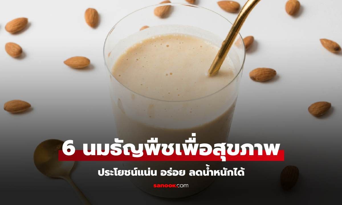 6 นมธัญพืชเพื่อสุขภาพ ประโยชน์แน่น อร่อย ลดน้ำหนักได้ ไม่ทำให้อ้วน