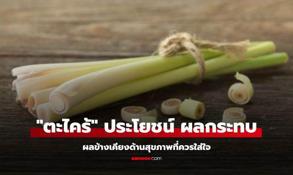 "ตะไคร้" ประโยชน์ และผลกระทบ ผลข้างเคียงด้านสุขภาพที่ควรใส่ใจ