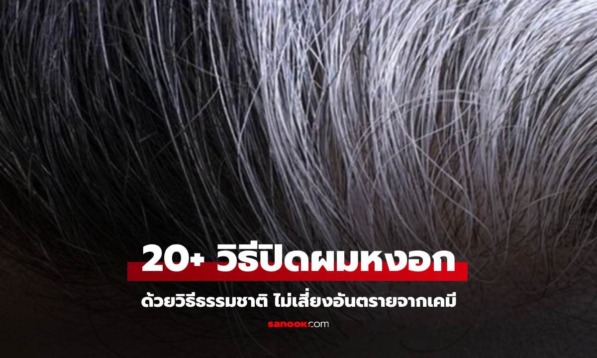 20+ วิธีปิดผมหงอกขาวด้วยวิธีธรรมชาติ ไม่เสี่ยงอันตรายจากเคมี