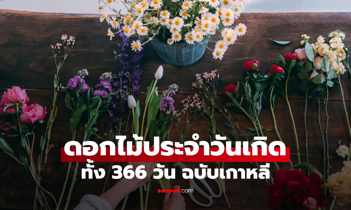 เช็กเลย ดอกไม้ประจำวันเกิด ทั้ง 366 วัน พร้อมความหมายตามภาษาดอกไม้