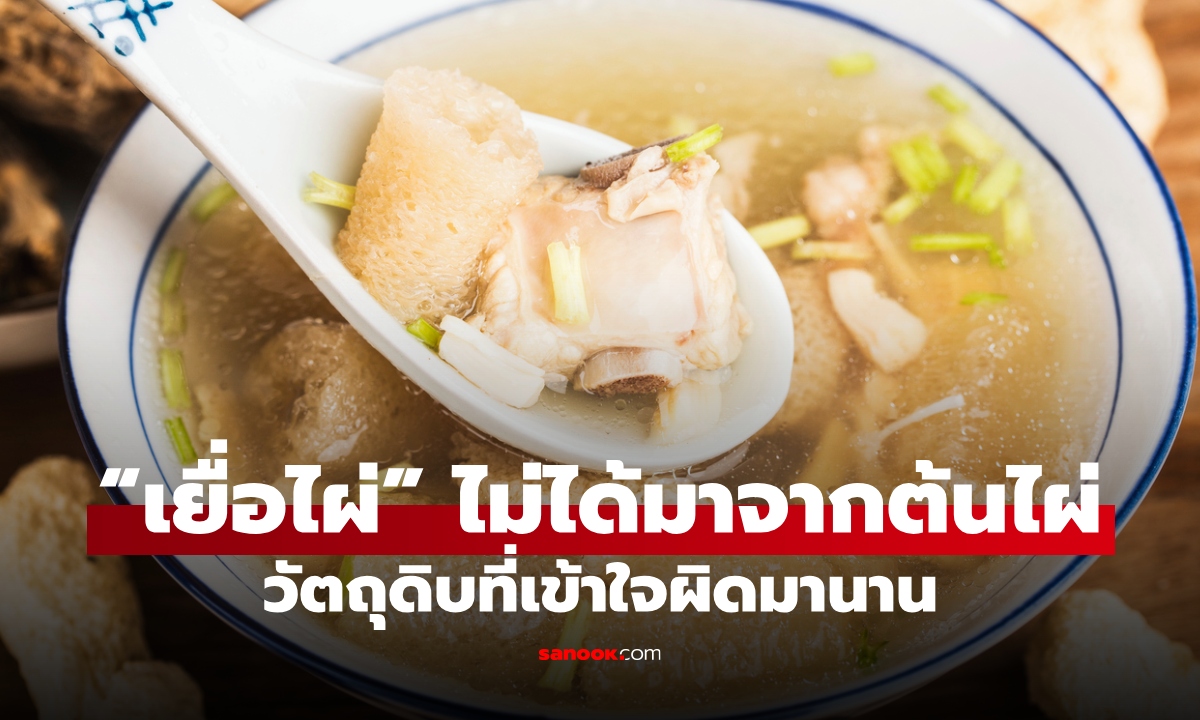 “แกงจืดเยื่อไผ่” จริงๆ แล้วไม่ได้มาจากต้นไผ่ เผยวัตถุดิบที่เข้าใจผิดมาตั้งนาน!