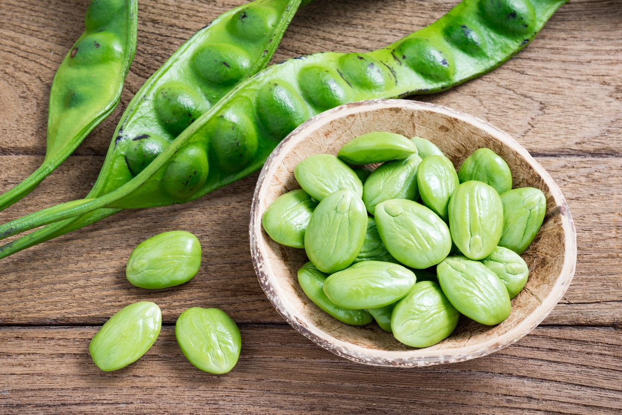 ประโยชน์ของสะตอ กินเหม็นแต่ดี! พร้อมวิธีดับกลิ่นแบบไม่ต้องเขิน