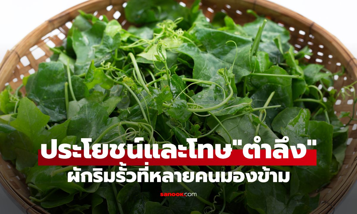 ประโยชน์และโทษของตำลึง ผักริมรั้วที่หลายคนมองข้าม