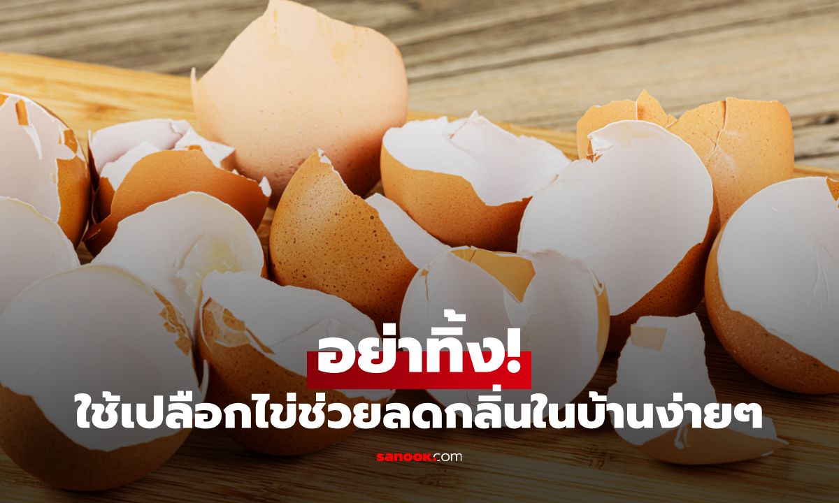 เคล็ดลับใช้เปลือกไข่ช่วยลดกลิ่นในบ้านง่าย ๆ แบบไม่ต้องเสียเงิน