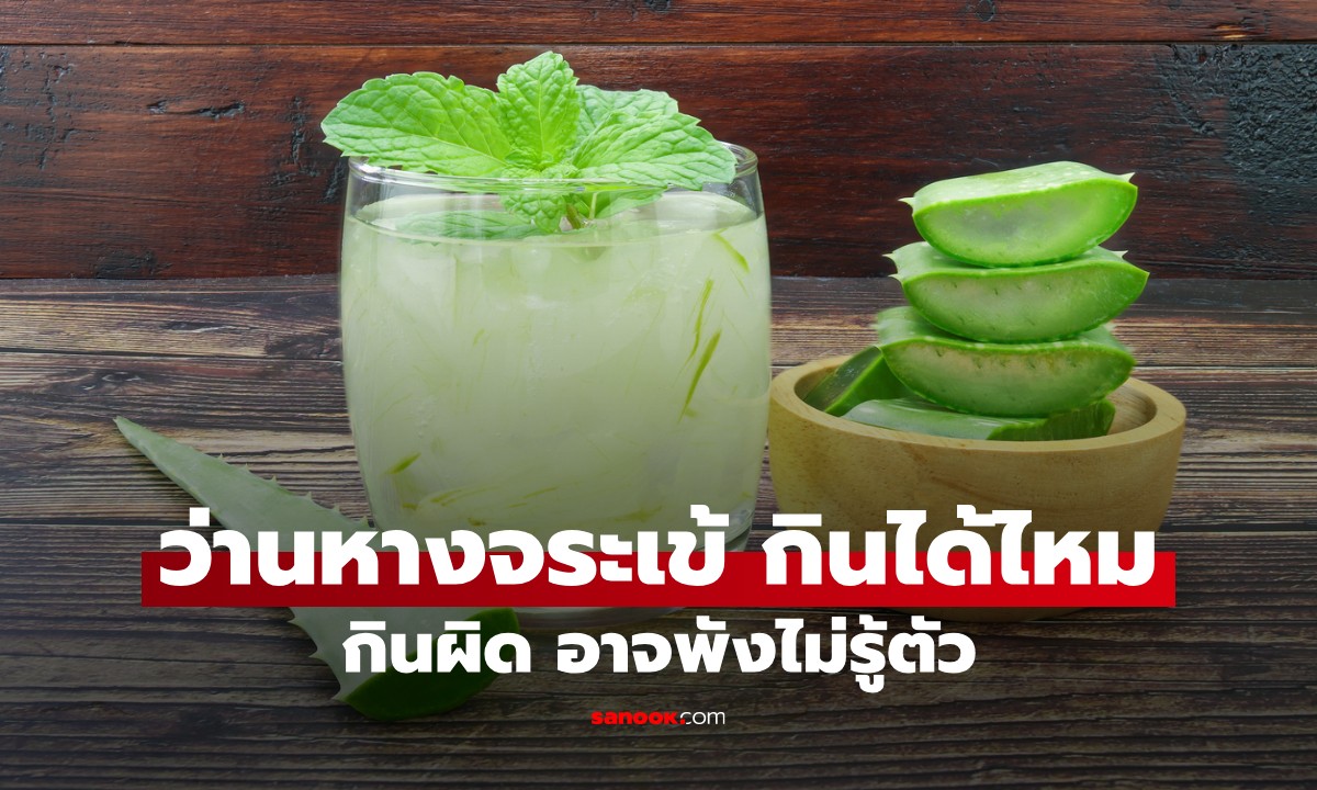 ว่านหางจระเข้ กินได้ไหม? ประโยชน์เยอะกว่าที่คิด แต่กินผิดคือพัง