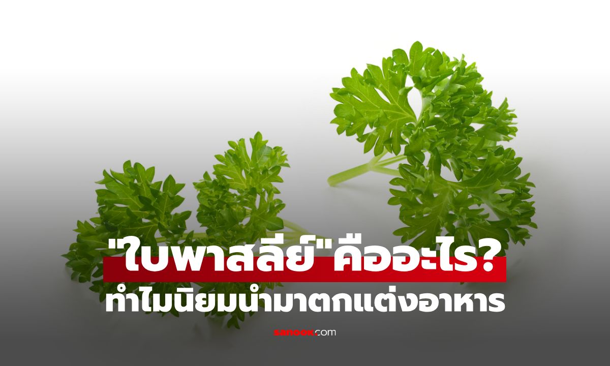 ใบพาสลีย์คืออะไร? ทำไมถึงนิยมนำมาเป็นผักตกแต่งอาหาร