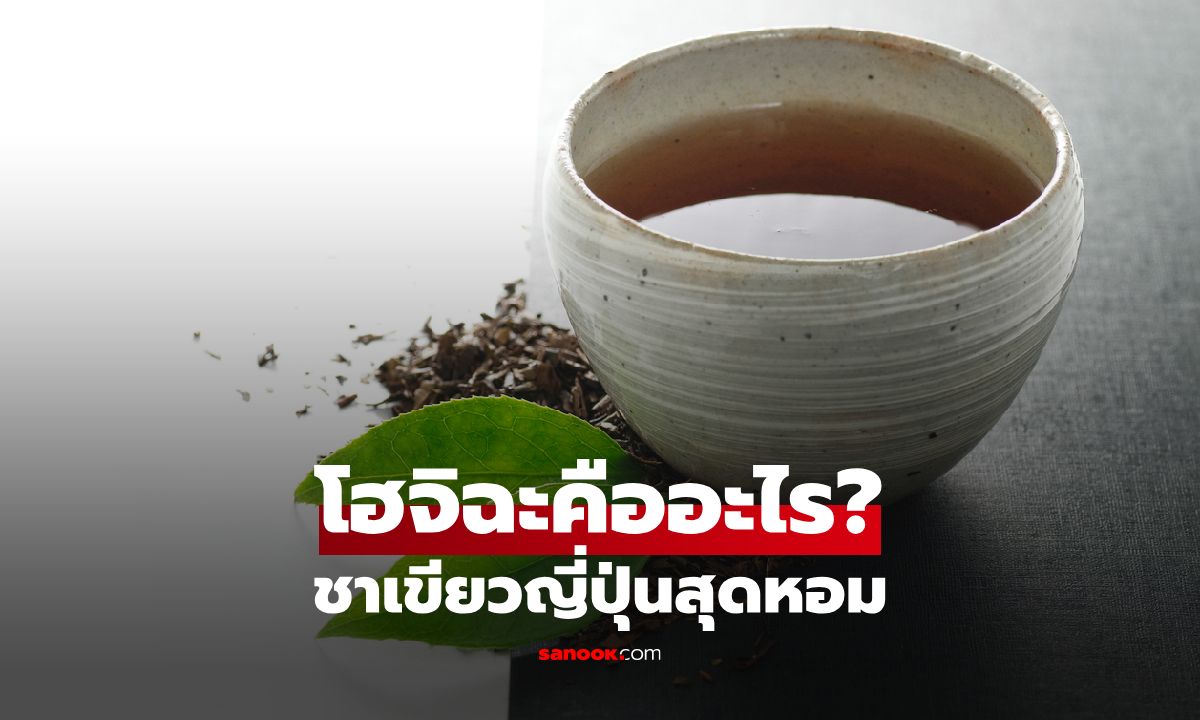 โฮจิฉะคืออะไร? ชาเขียวญี่ปุ่นคั่วหอม รสชาติละมุน