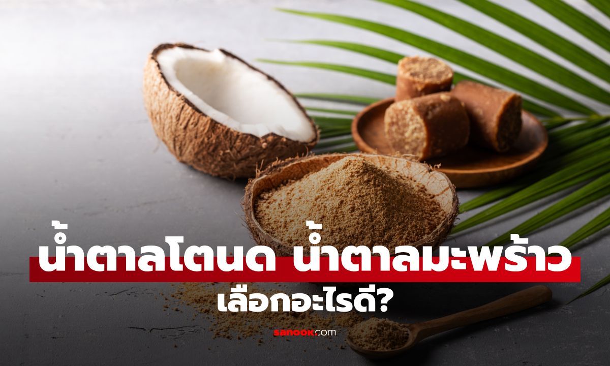 น้ำตาลโตนดหรือน้ำตาลมะพร้าว เลือกอะไรดี? ความต่างที่ควรรู้ก่อนเลือกใช้