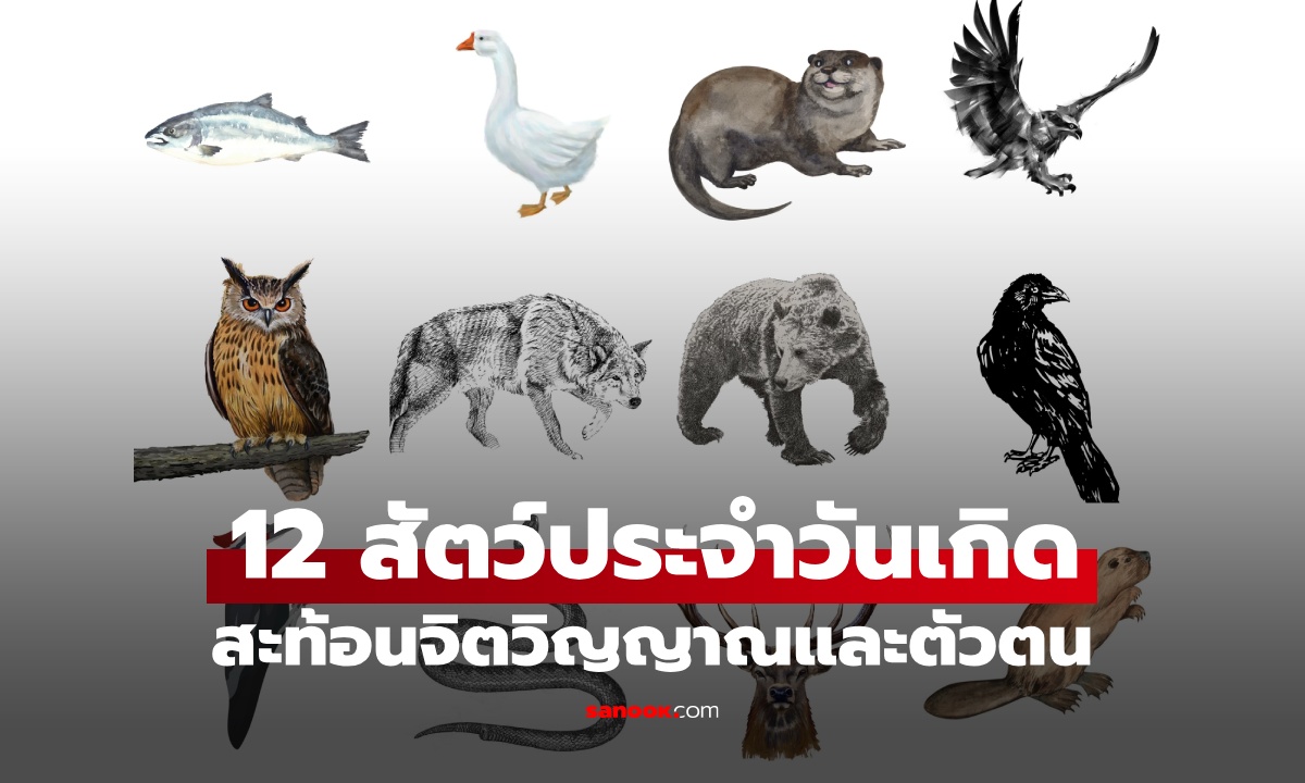 รู้จัก 12 สัตว์ประจำวันเกิด ราศีแบบอเมริกัน สะท้อนตัวตนและจิตวิญญาณของคุณ