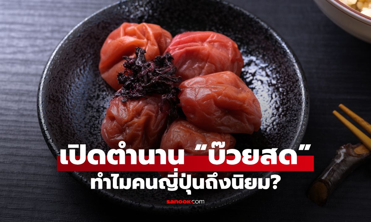 เจาะลึกตำนาน บ๊วยญี่ปุ่น สู่ประโยชน์และวัฒนธรรมที่ไม่ควรพลาด