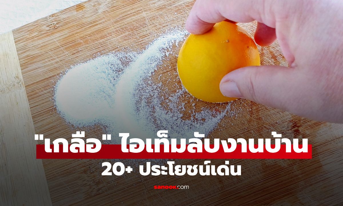 เกลือ: ไอเท็มลับงานบ้าน 20+ ประโยชน์เด่น เคล็ดลับใช้ให้ถูก ไม่ทำลายข้าวของ
