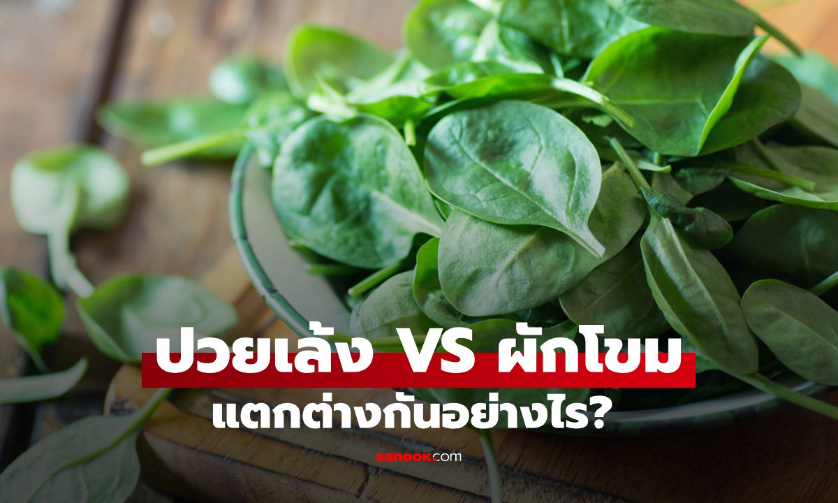 ปวยเล้ง VS ผักโขม แยกให้ออก! สองผักใบเขียวที่คนชอบสับสน