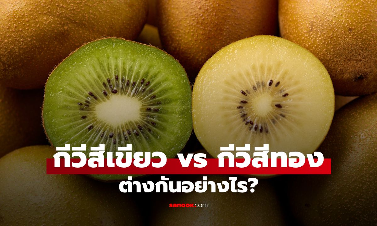กีวีสีเขียว vs กีวีสีทอง ต่างกันอย่างไร? แบบไหนเหมาะกับการลดน้ำหนัก