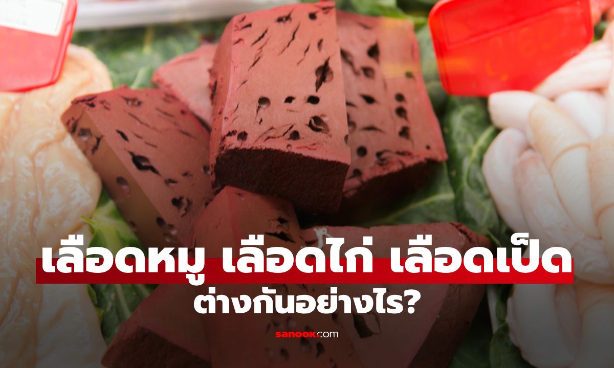 เลือดหมู เลือดไก่ เลือดเป็ด ต่างกันยังไง? เลือกกินให้ปลอดภัย ได้ธาตุเหล็กเต็ม ๆ