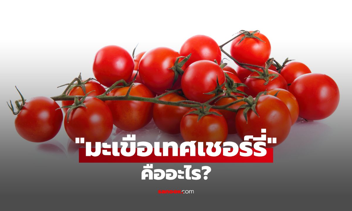 มะเขือเทศเชอร์รี่คืออะไร? ควรกินวันละกี่ลูกถึงจะดีต่อสุขภาพ