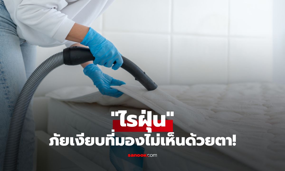 ไรฝุ่นภัยเงียบที่มองไม่เห็นด้วยตา! ควรเช็กอย่างไรว่าที่นอนมีไรฝุ่น