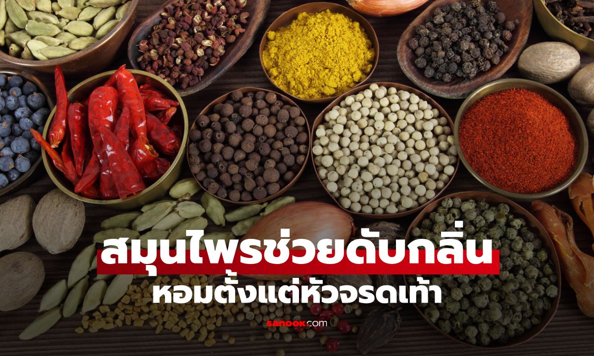 รวม 7 สมุนไพรช่วยดับกลิ่น ให้กลิ่นสาวหอมตั้งแต่ศีรษะจรดปลายเท้า
