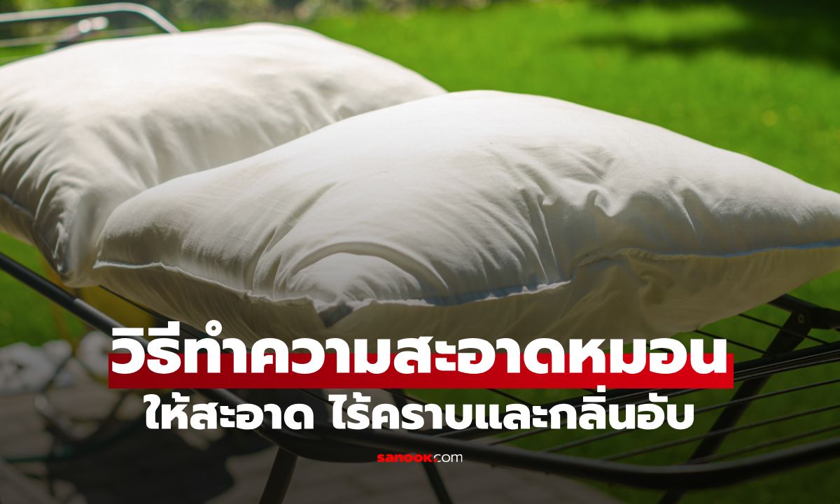 วิธีทำความสะอาดหมอน ให้หมอนนุ่ม สะอาด ไร้คราบและกลิ่นอับ