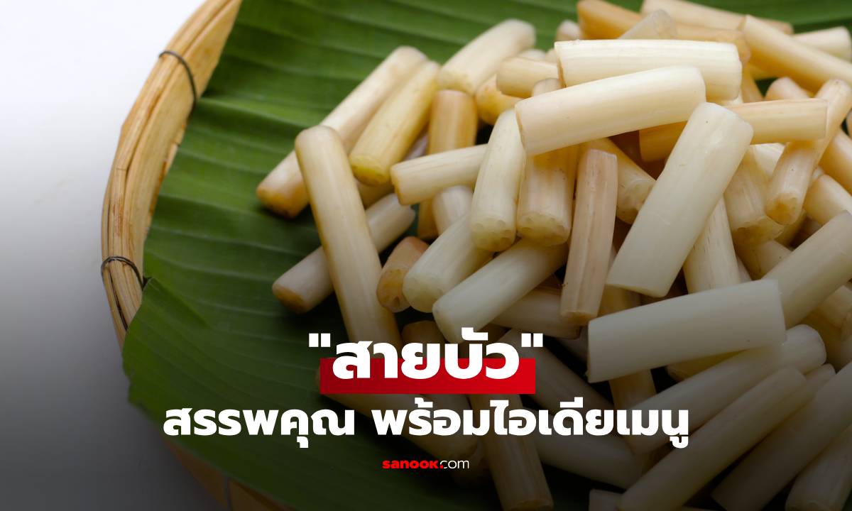 รู้จักสรรพคุณของสายบัว ควบคุมน้ำหนัก บำรุงผิว พร้อมไอเดียเมนูอร่อย