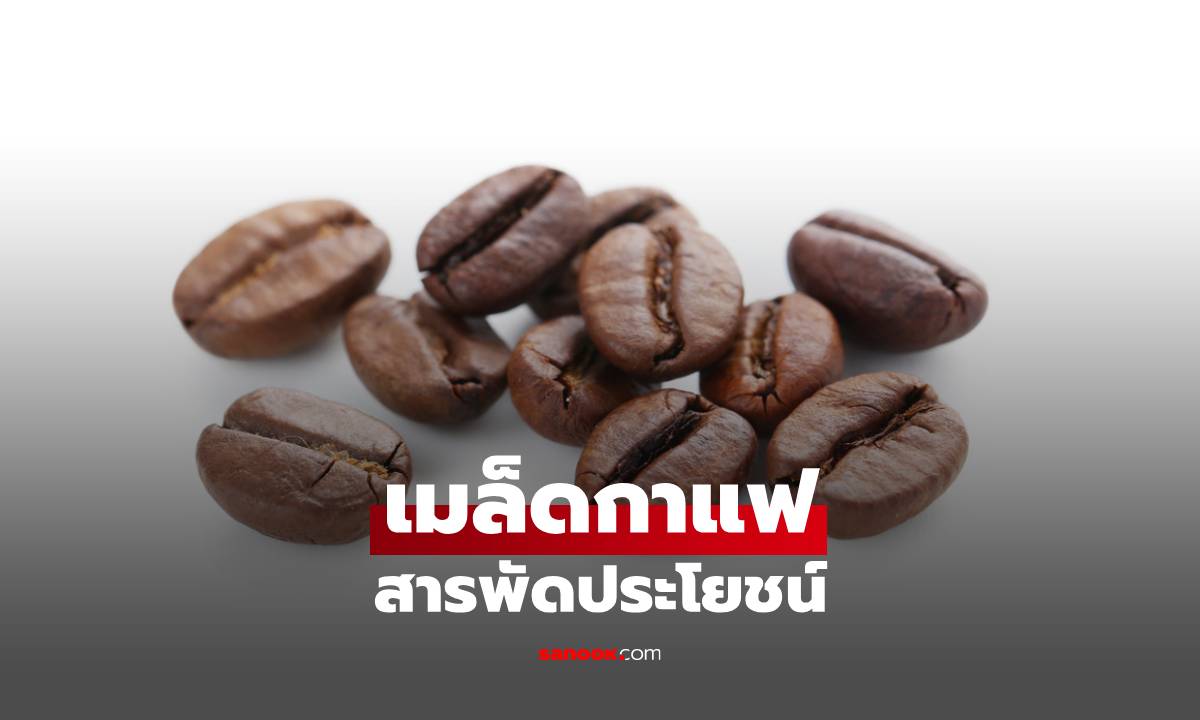 สารพัดประโยชน์จากเมล็ดกาแฟ ทั้งดื่ม ขัดผิว และใช้ในบ้าน