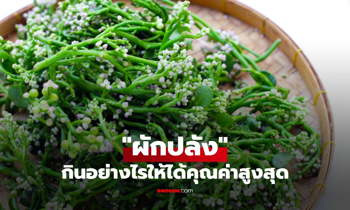 ประโยชน์และโทษของ "ผักปลัง" กินอย่างไรให้ได้คุณค่าสูงสุด