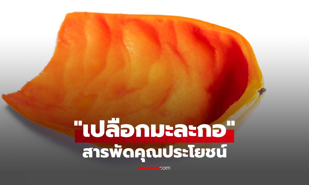 เปลือกมะละกอ: สารพัดคุณประโยชน์ทั้งงานบ้าน และความงามที่คุณคาดไม่ถึง