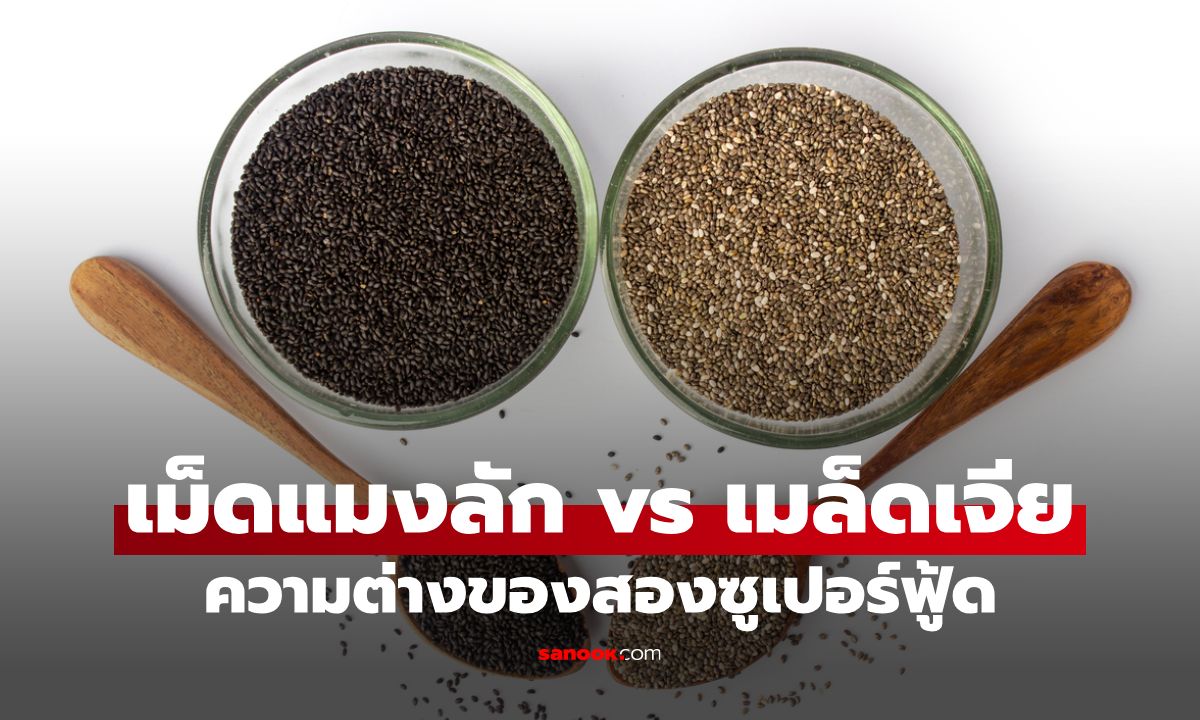 เม็ดแมงลัก vs. เมล็ดเจีย เจาะลึกความต่างของสองซูเปอร์ฟู้ด ที่คอสุขภาพต้องรู้
