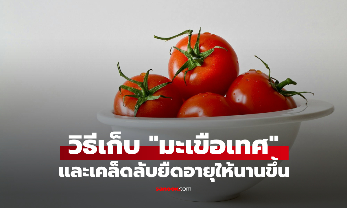 มะเขือเทศเก็บได้นานแค่ไหน? เผยวิธีเก็บแต่ละแบบ และเคล็ดลับยืดอายุให้นานขึ้น