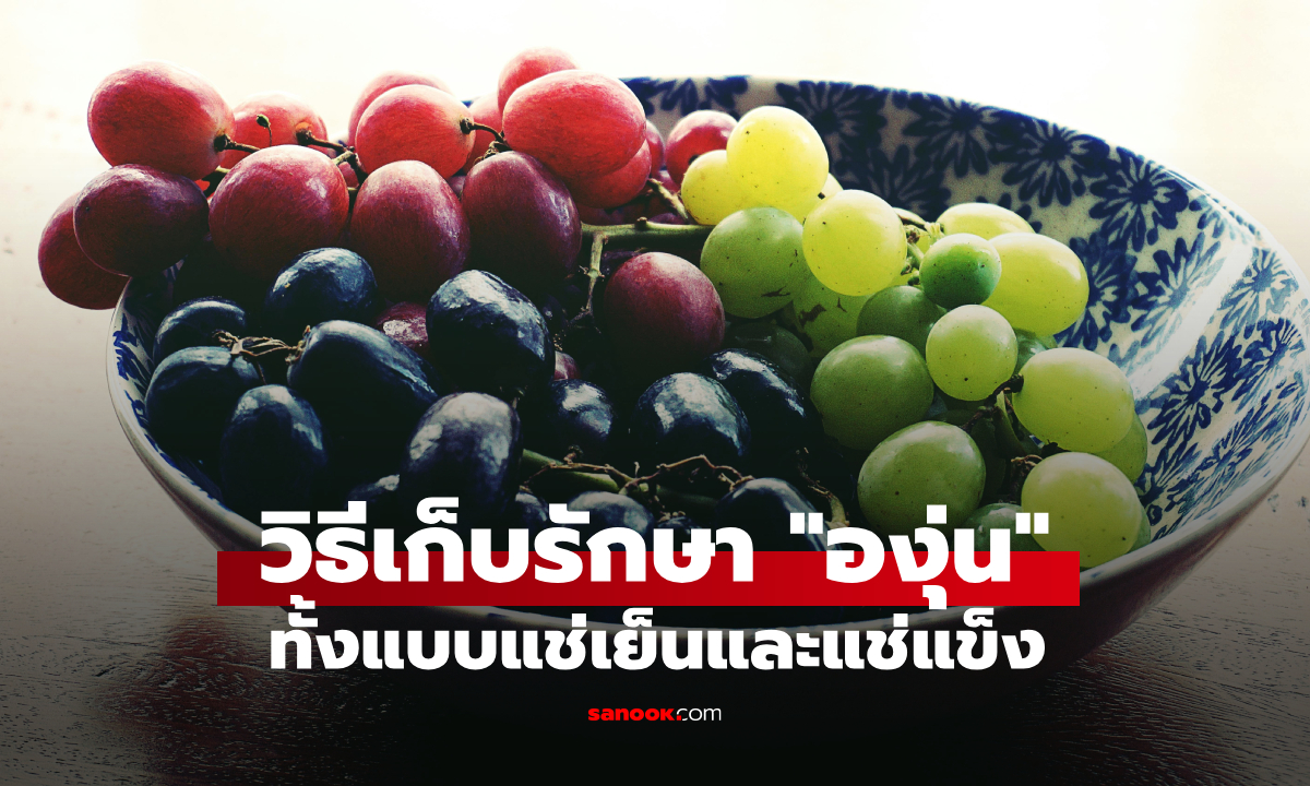 วิธีเก็บรักษา "องุ่น" ให้อร่อย พร้อมเคล็ดลับการเก็บทั้งแบบแช่เย็นและแช่แข็ง
