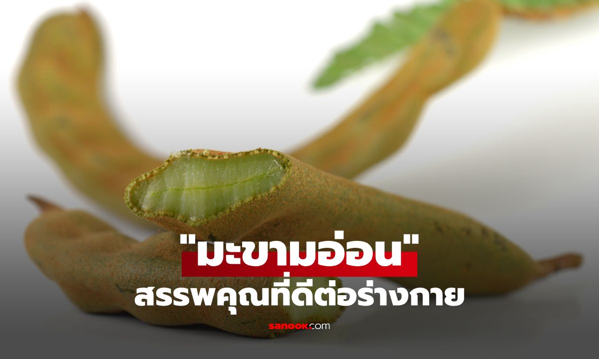 มะขามอ่อน ผสไม้เปรี้ยวจี๊ดกับสรรพคุณที่ดีต่อร่างกาย
