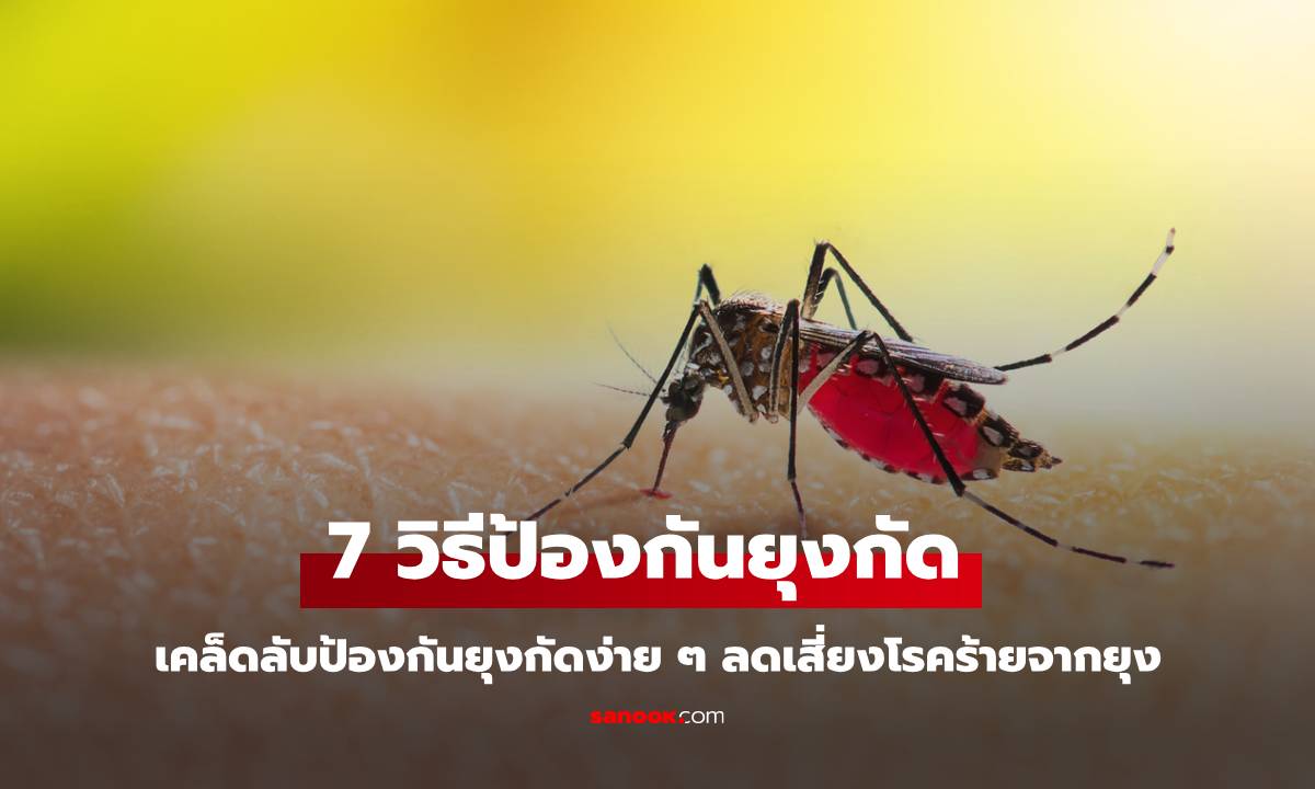 7 วิธี ป้องกันยุงกัด ทำให้ยุงไม่กัด ไม่สนใจคุณ